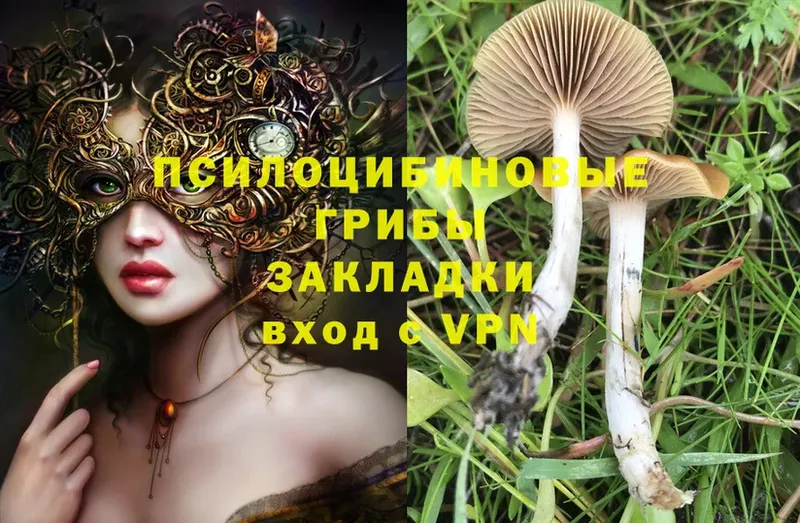 Галлюциногенные грибы Cubensis  Катайск 